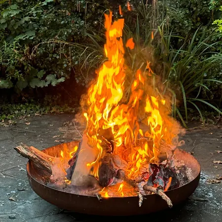 Wild Am Fluss Saint-Martory