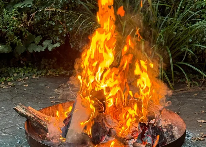 Wild Am Fluss Saint-Martory