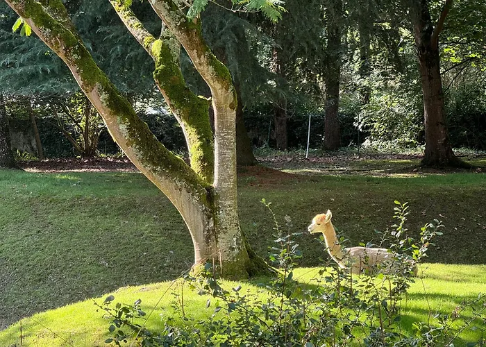 럭셔리텐트 Wild Am Fluss Saint-Martory