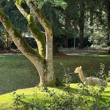 Tente de luxe Wild Am Fluss Saint-Martory